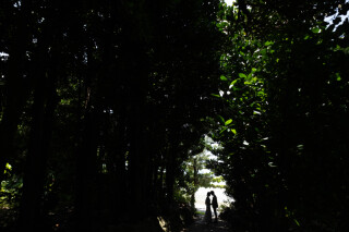 自然の中での撮影も好きです