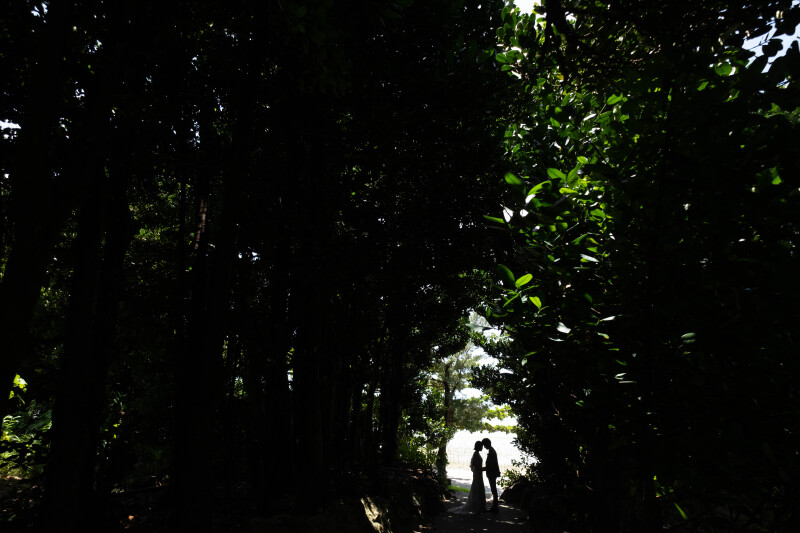 自然の中での撮影も好きです