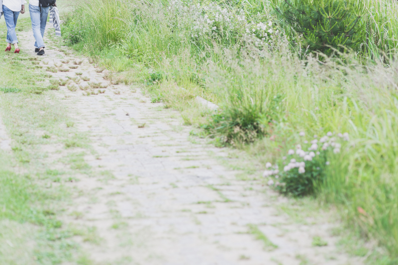 【エンゲージメントムービー】~シンプル撮影プラン~