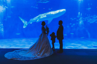【いおワールド　かごしま水族館】ロケーション データ150カット付き