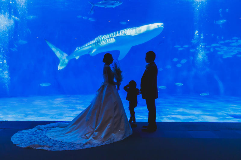 【いおワールド かごしま水族館】ロケーション データ150カット付き