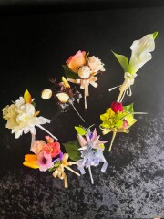 カラーブートニア