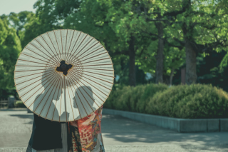 新緑の和装フォト