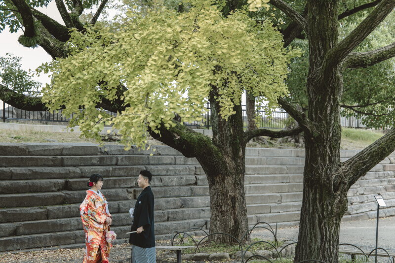 大きな木の下で
