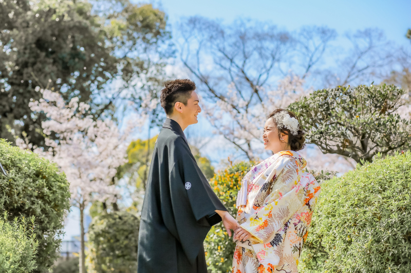 桜と青空