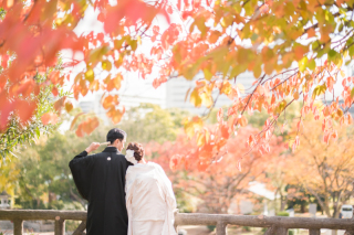 仲睦まじい姿を