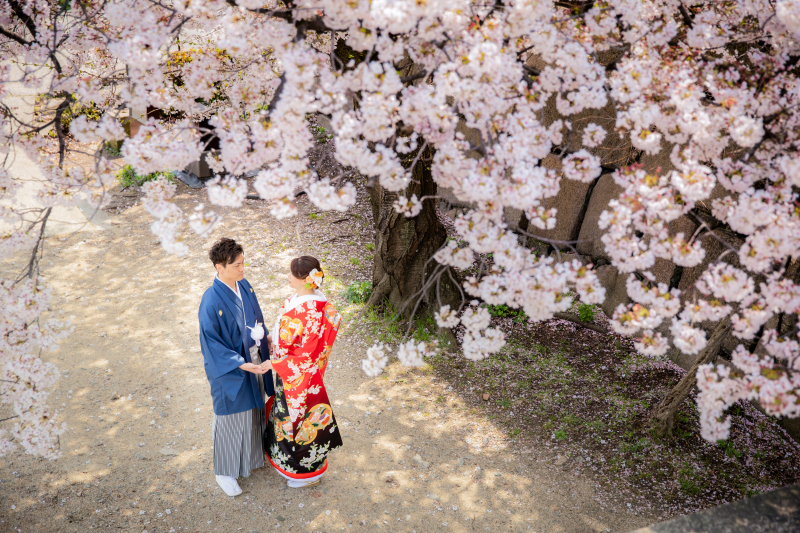 満開の桜の下で
