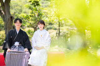 新緑がまぶしい季節