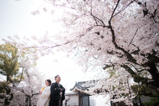 サクラと和装と洋装と