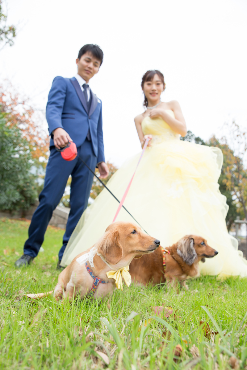 最後は愛犬とともに!
