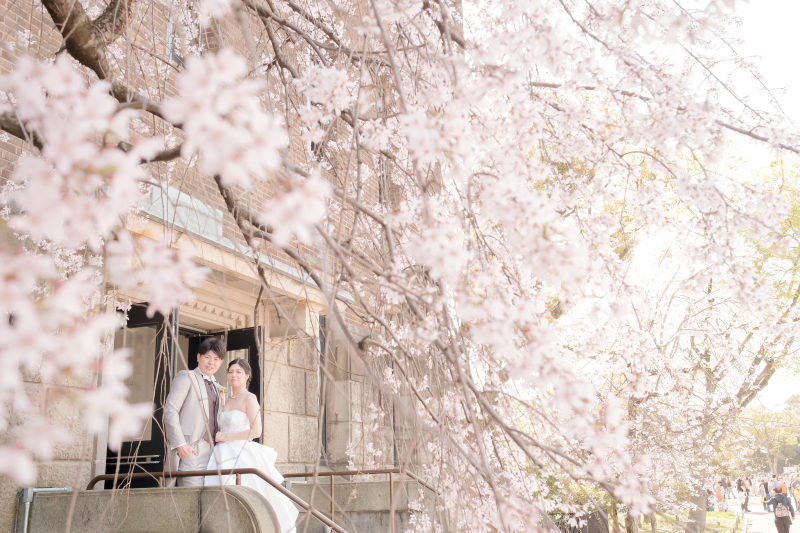 桜に囲まれて