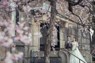 ONE PHOTOWEDDING OSAKA-JO_SPRING～桜～