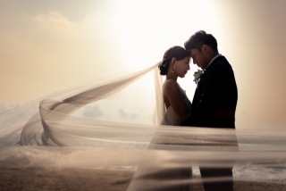 ヴェールの柔らかな表情が美しい、はっと息をのむような一枚。