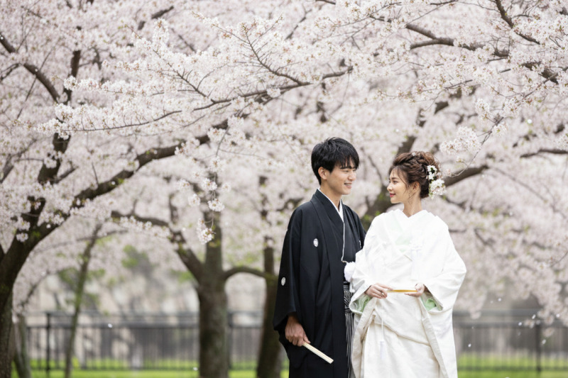 【和装】3月26日&sim;4月4日に撮影される方限定/西の丸庭園で満開の桜に囲まれて撮影するプラン
