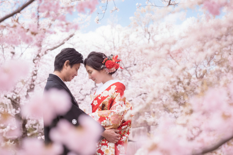 【和装】3月26日&sim;4月4日に撮影される方限定/西の丸庭園で満開の桜に囲まれて撮影するプラン