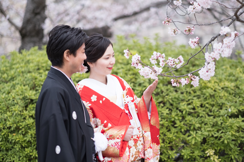【和装】3月26日∼4月4日に撮影される方限定/大阪城の広大なロケーションで満開の桜と撮影する春限定プラン
