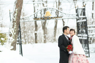 あこがれの雪景色