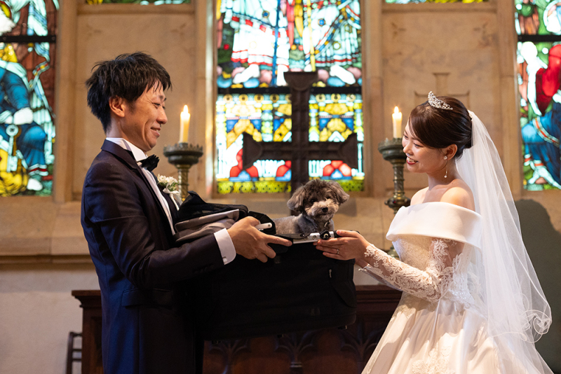 お写真撮影についての感想をお聞かせください