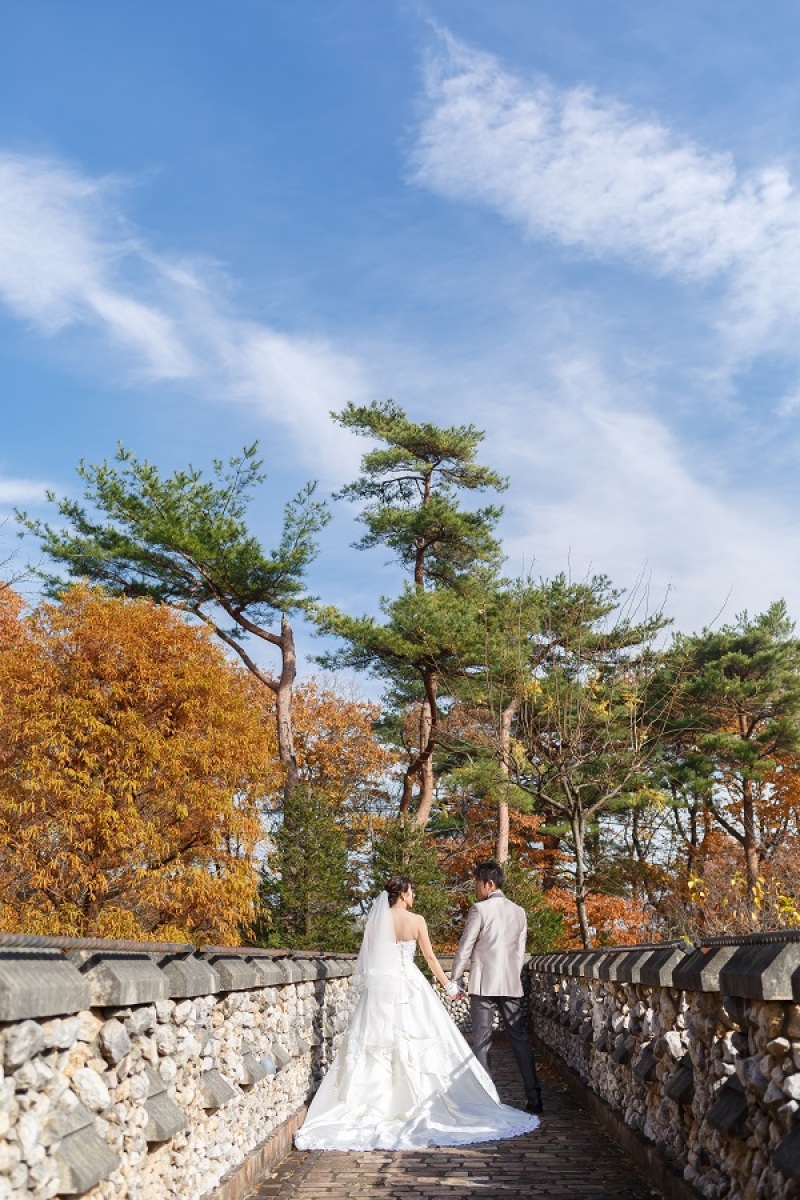 お写真撮影についての感想をお聞かせください