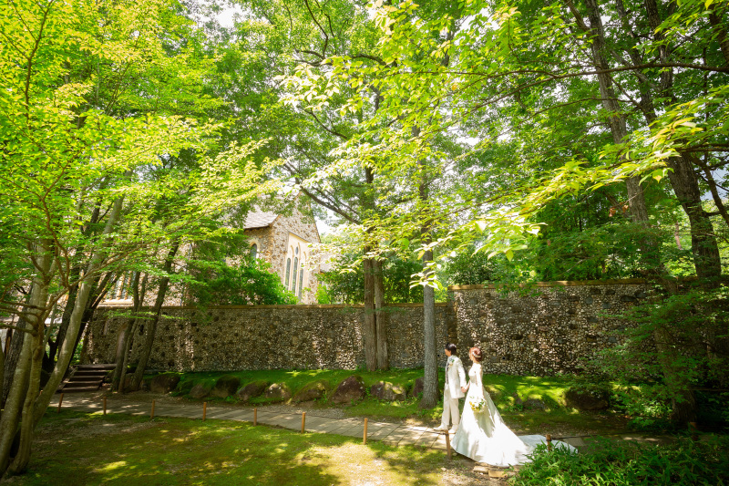 木漏れ日に包まれて