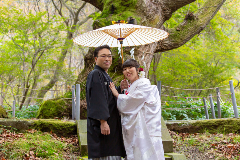 衣裳についての感想をお聞かせください。