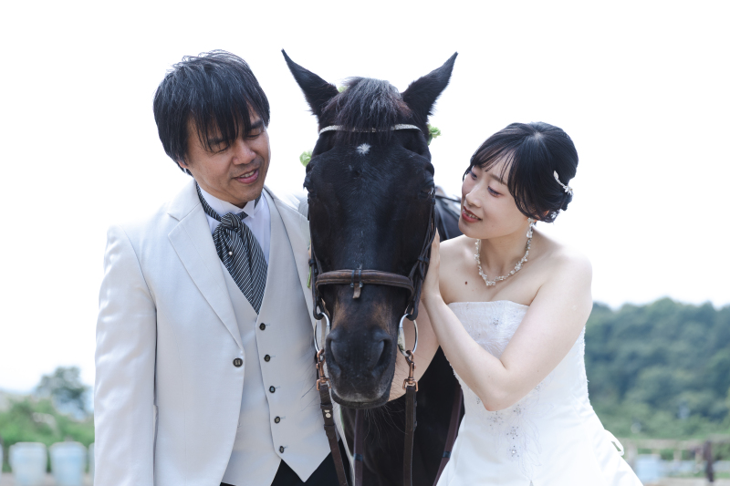 大人しいお馬さん