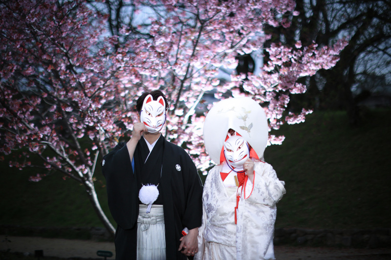 狐と桜