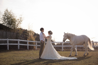 S WEDDING_お馬さんENZOの空