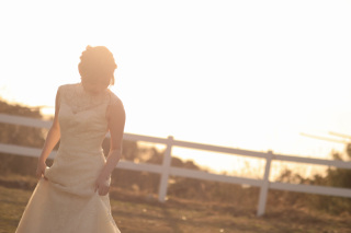 S WEDDING_お馬さんENZOの空