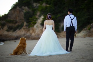 S WEDDING_ロケーション撮影