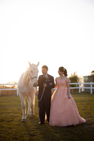 S WEDDING_お馬さんENZOの空