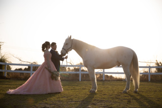 S WEDDING_お馬さんENZOの空