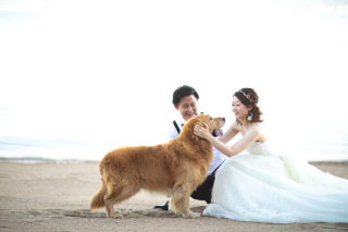 S WEDDING_pickup photo