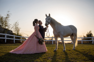 S WEDDING_お馬さんENZOの空