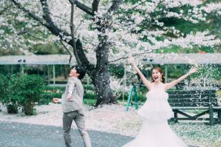 静寂なスタジオ美と満開の桜。光と自然に包まれるナチュラルフォトウエディング