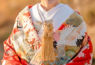 色打掛【小物ゴールド/襟白無地】