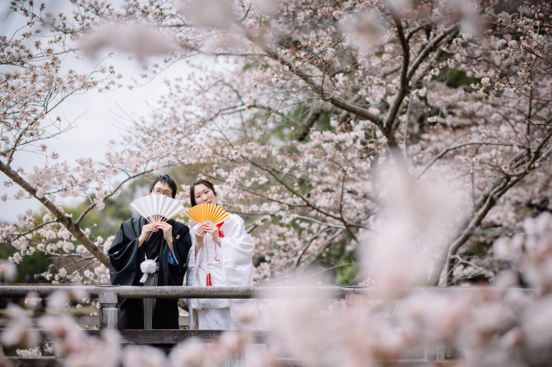 桜は満開、この春一番の撮影日