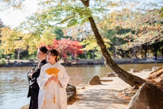 木漏れ日が美しい日の撮影