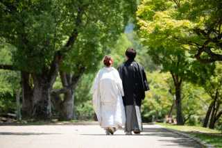 奈良公園で綺麗な新緑に包まれて
