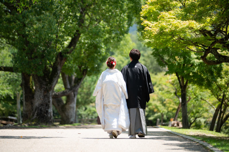 奈良公園で綺麗な新緑に包まれて