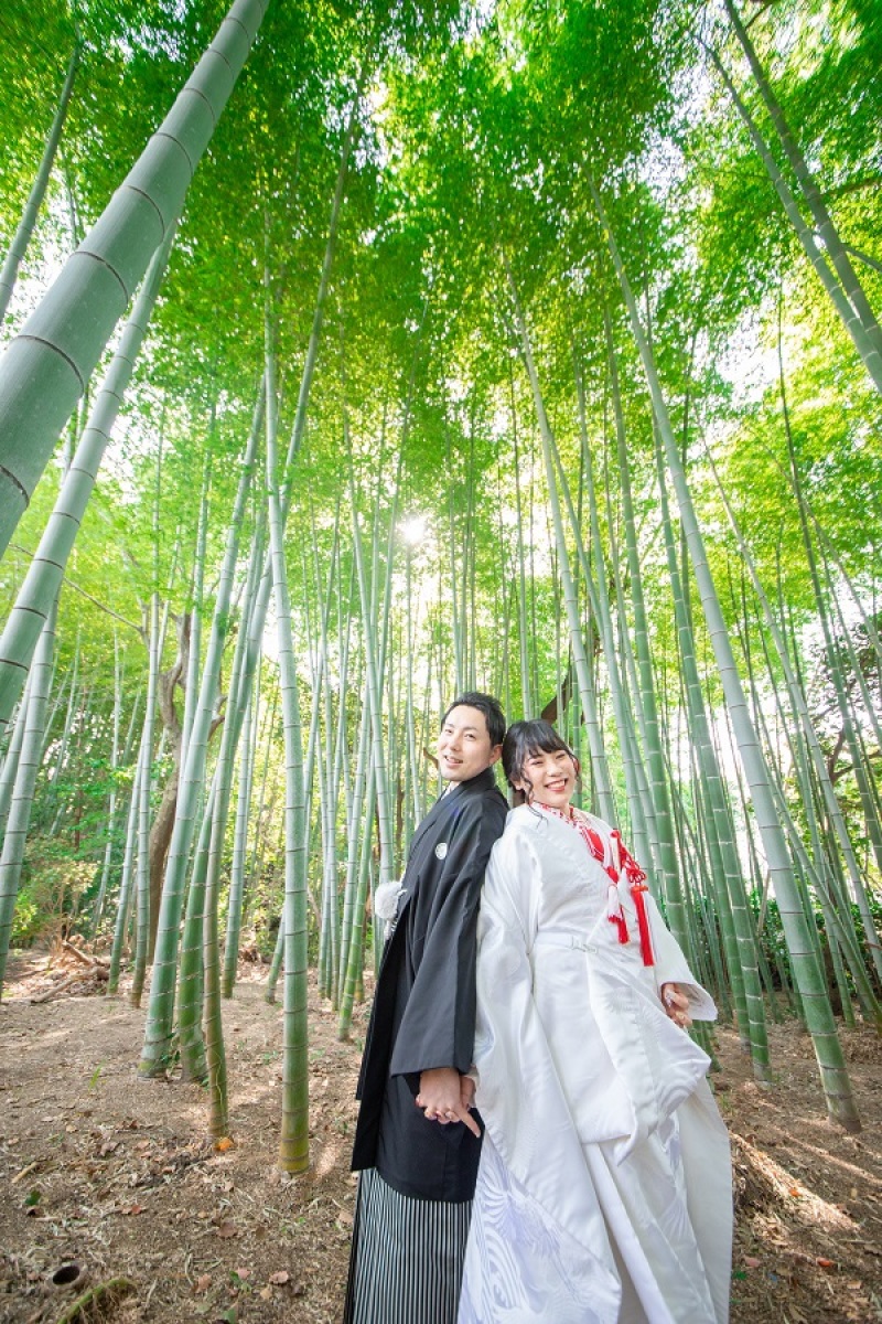 ご希望の竹林ショット！