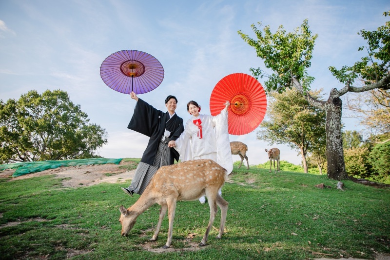 鹿と撮影が出来ました！