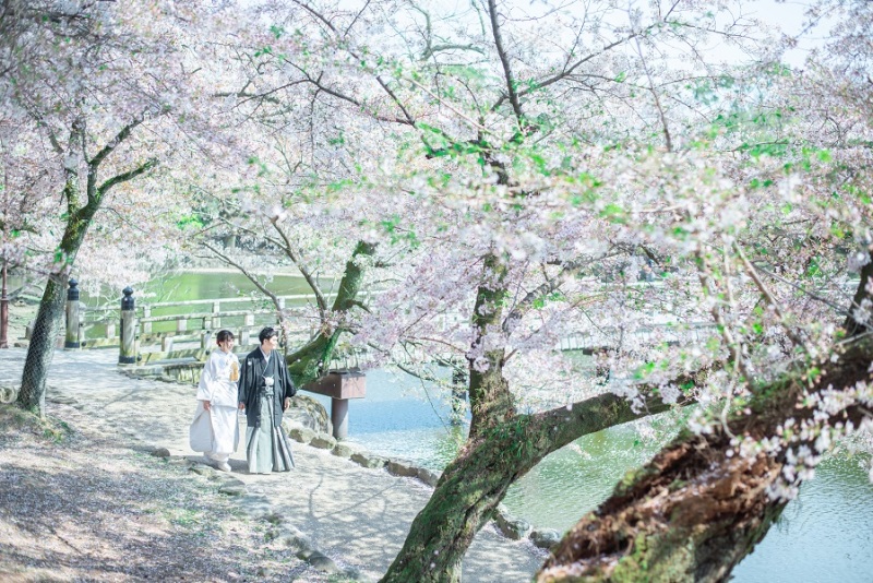 白無垢が人気な春♪