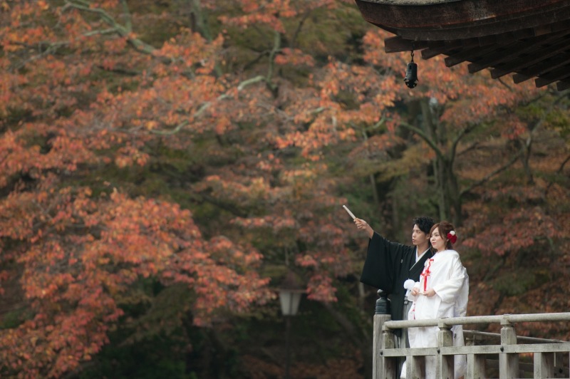 この時期ならではの紅葉がキレイです！