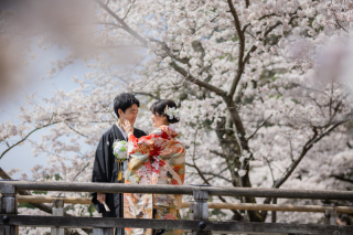 満開の桜シーズンで