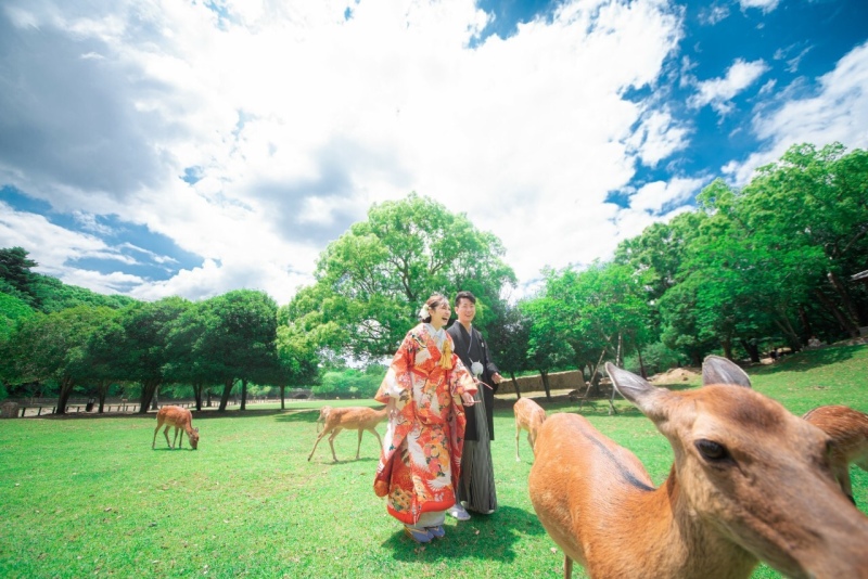 鹿とわんちゃんは、、