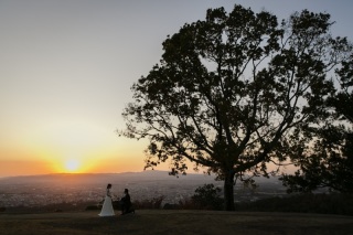 若草山ドレス撮影