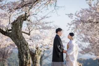 白無垢で桜撮影