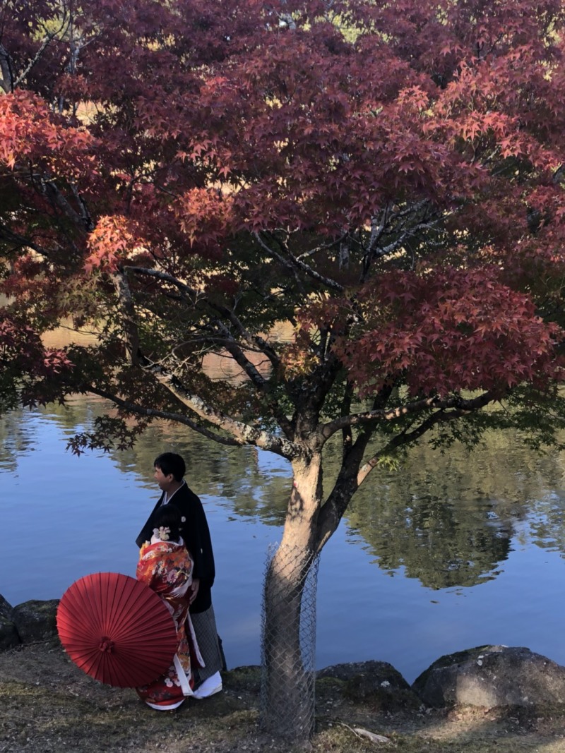 浮見堂近くの場所で、、