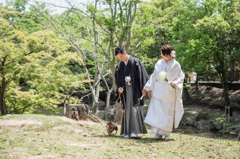 日常のお散歩シーンも